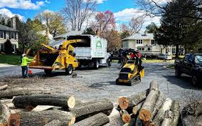 Why Choose Our Tree Removal Services in Flushing, MI?